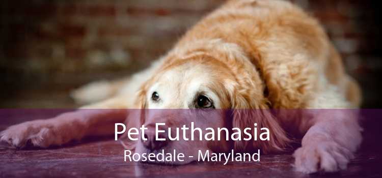 Pet Euthanasia Rosedale - Maryland