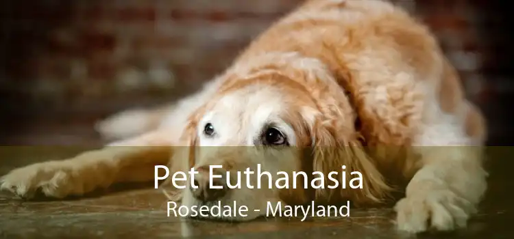 Pet Euthanasia Rosedale - Maryland