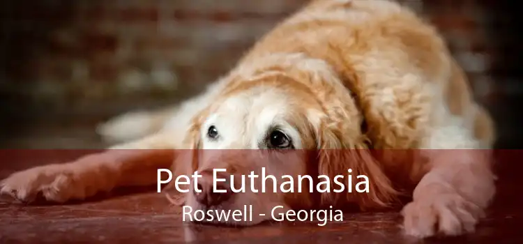 Pet Euthanasia Roswell - Georgia