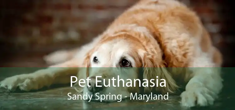 Pet Euthanasia Sandy Spring - Maryland