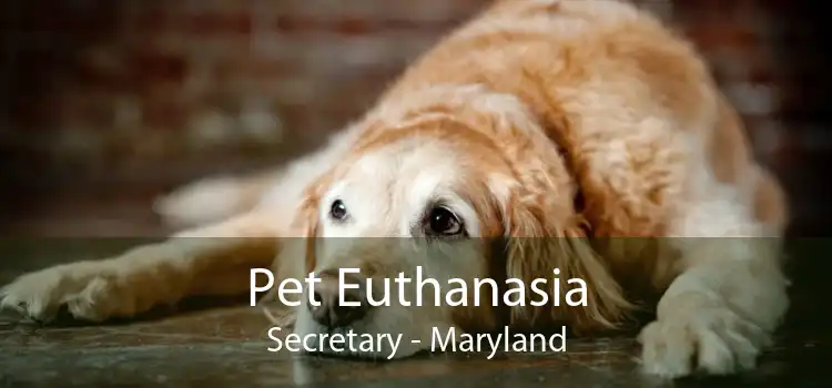 Pet Euthanasia Secretary - Maryland