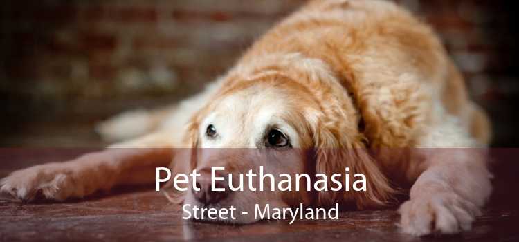 Pet Euthanasia Street - Maryland