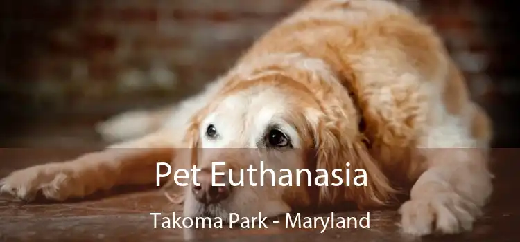 Pet Euthanasia Takoma Park - Maryland