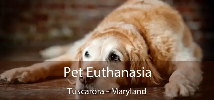 Pet Euthanasia Tuscarora - Maryland