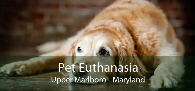Pet Euthanasia Upper Marlboro - Maryland