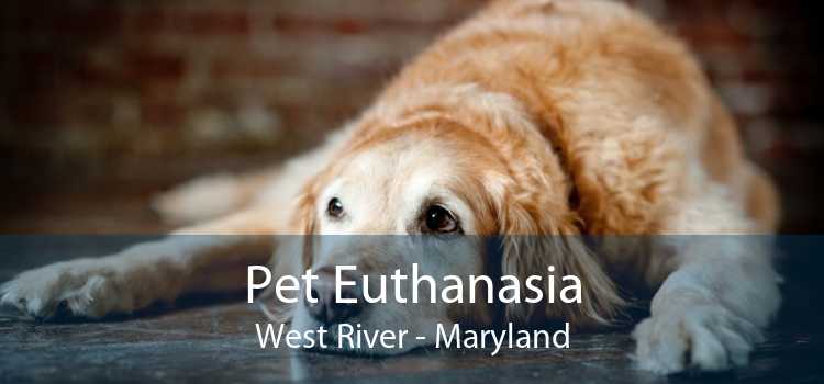 Pet Euthanasia West River - Maryland