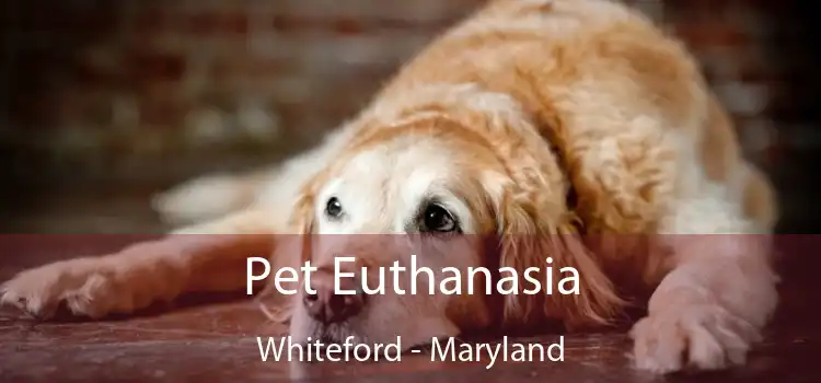 Pet Euthanasia Whiteford - Maryland