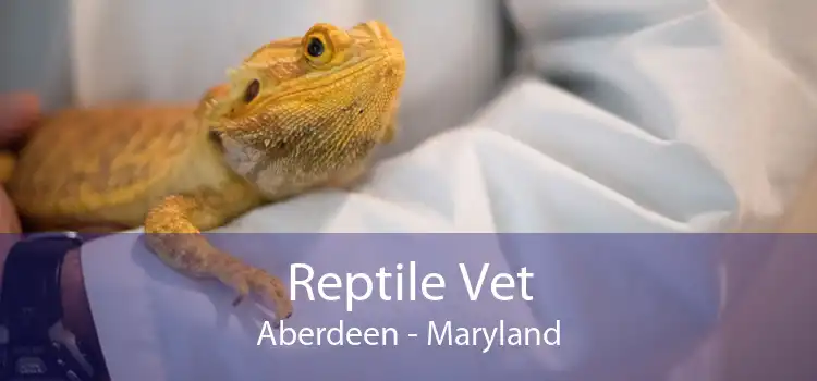 Reptile Vet Aberdeen - Maryland