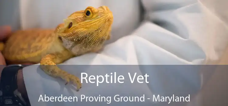 Reptile Vet Aberdeen Proving Ground - Maryland