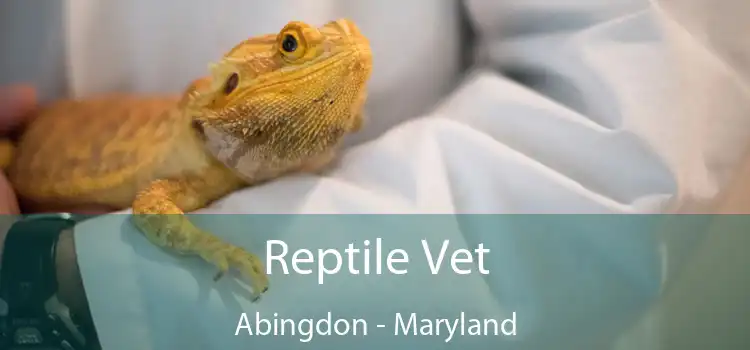 Reptile Vet Abingdon - Maryland