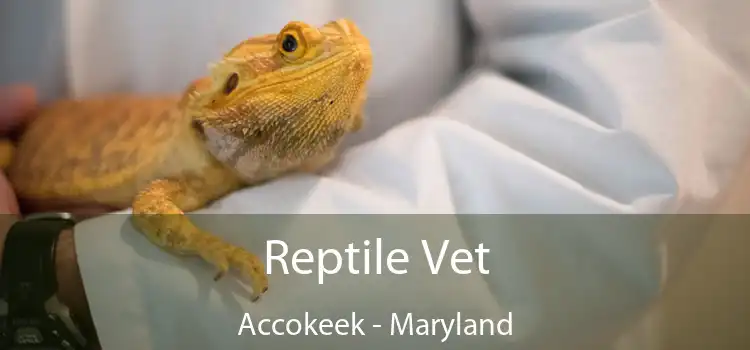 Reptile Vet Accokeek - Maryland