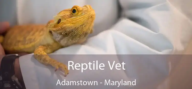 Reptile Vet Adamstown - Maryland