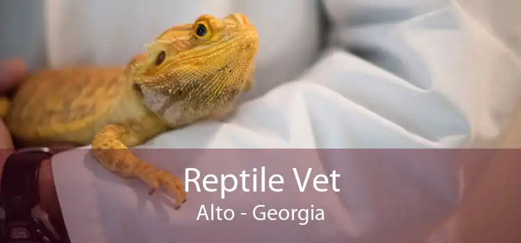 Reptile Vet Alto - Georgia