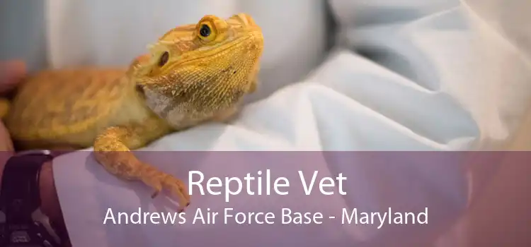 Reptile Vet Andrews Air Force Base - Maryland
