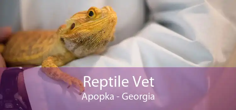 Reptile Vet Apopka - Georgia