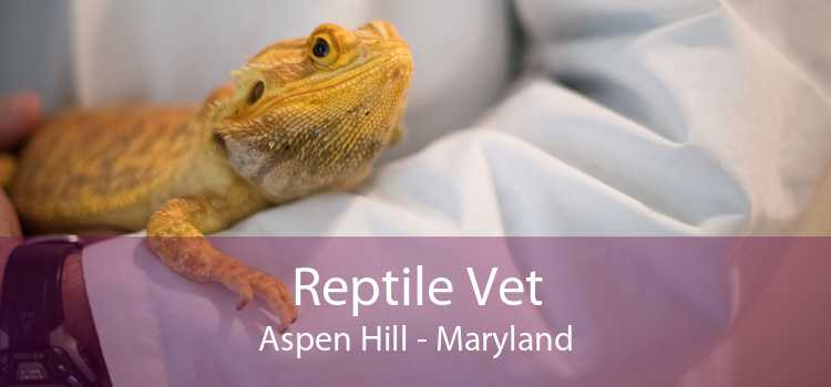 Reptile Vet Aspen Hill - Maryland
