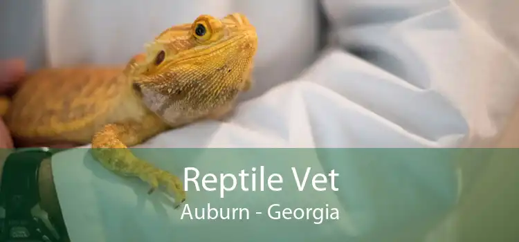 Reptile Vet Auburn - Georgia