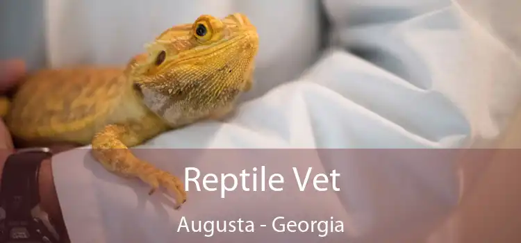 Reptile Vet Augusta - Georgia