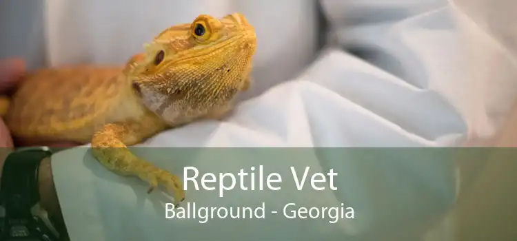 Reptile Vet Ballground - Georgia