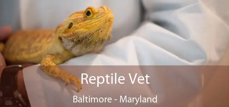 Reptile Vet Baltimore - Maryland