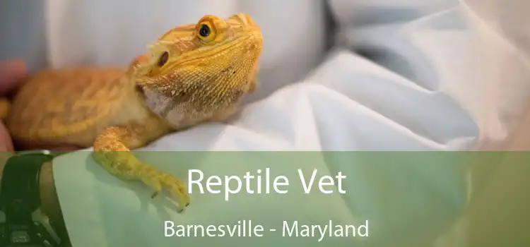 Reptile Vet Barnesville - Maryland