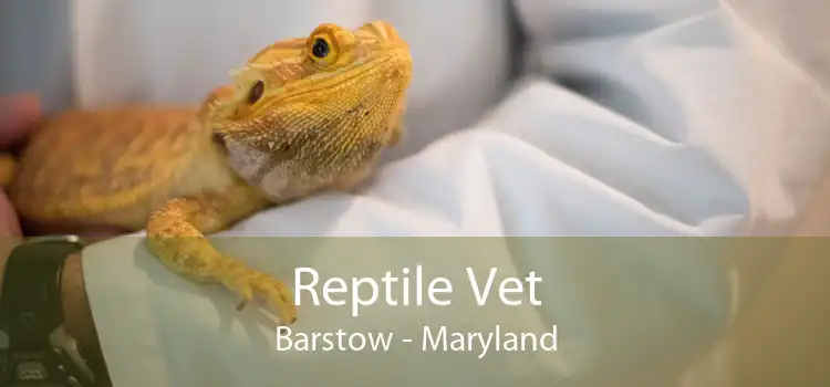 Reptile Vet Barstow - Maryland
