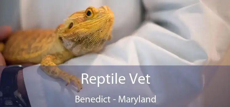 Reptile Vet Benedict - Maryland