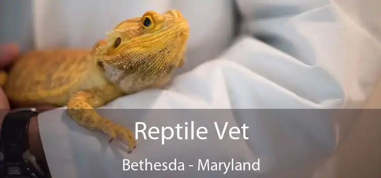 Reptile Vet Bethesda - Maryland