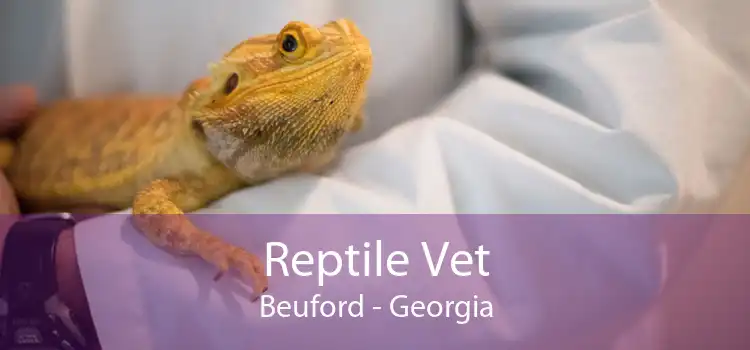 Reptile Vet Beuford - Georgia