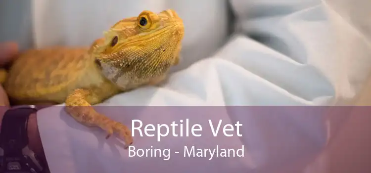 Reptile Vet Boring - Maryland