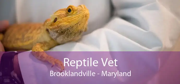 Reptile Vet Brooklandville - Maryland