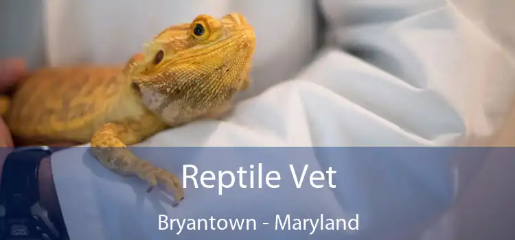 Reptile Vet Bryantown - Maryland