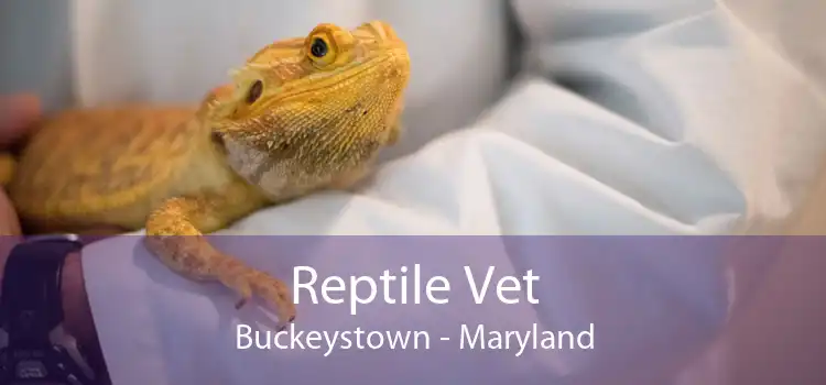 Reptile Vet Buckeystown - Maryland