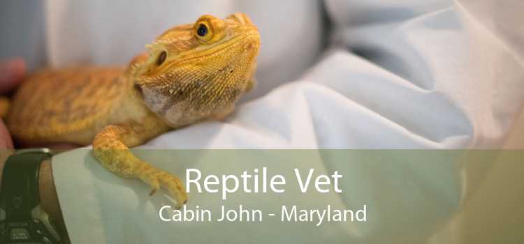 Reptile Vet Cabin John - Maryland