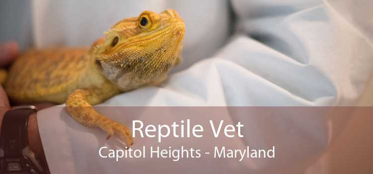Reptile Vet Capitol Heights - Maryland