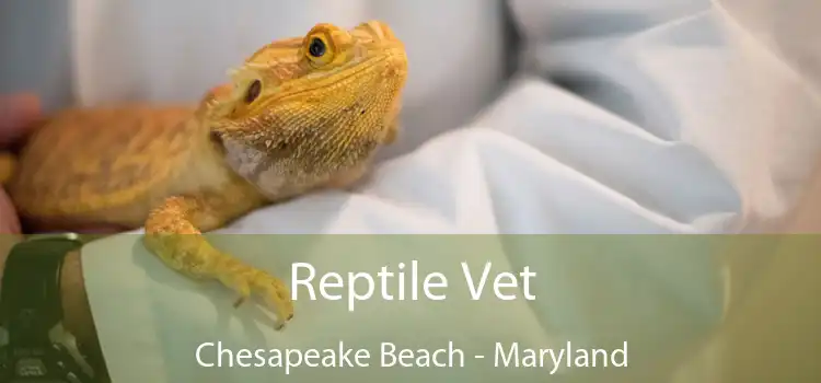 Reptile Vet Chesapeake Beach - Maryland