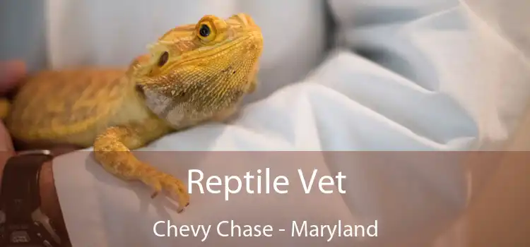 Reptile Vet Chevy Chase - Maryland