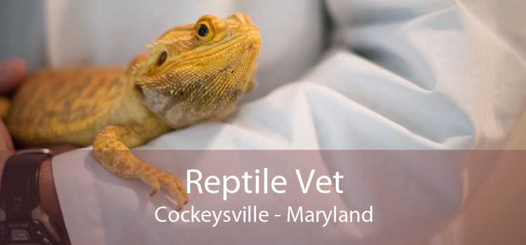 Reptile Vet Cockeysville - Maryland