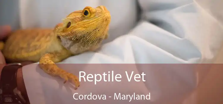 Reptile Vet Cordova - Maryland