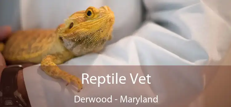 Reptile Vet Derwood - Maryland