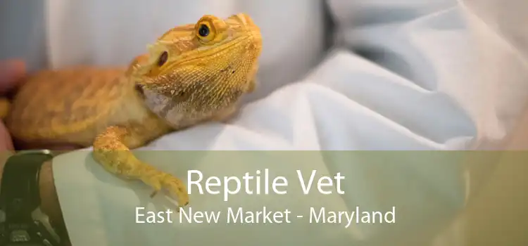 Reptile Vet East New Market - Maryland