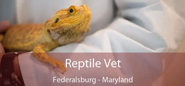 Reptile Vet Federalsburg - Maryland