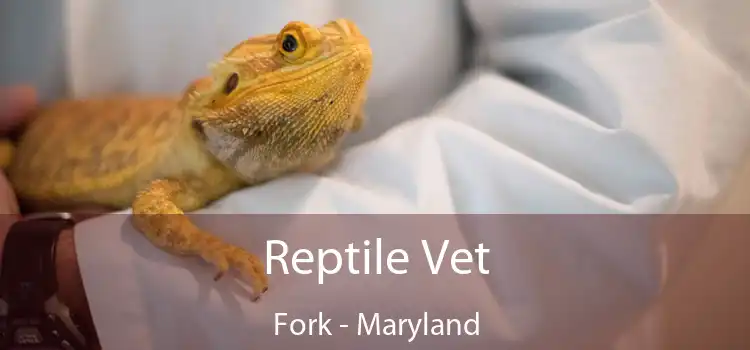 Reptile Vet Fork - Maryland