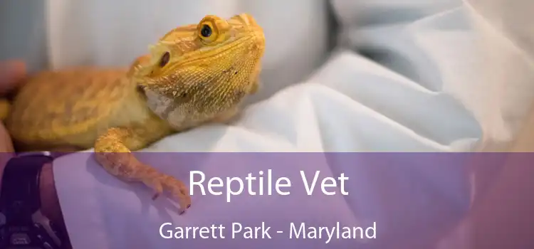 Reptile Vet Garrett Park - Maryland