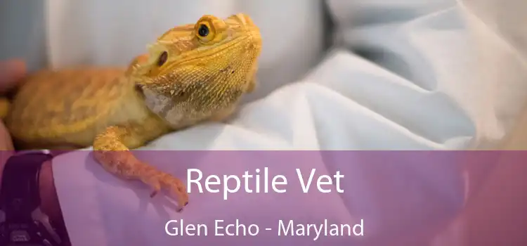 Reptile Vet Glen Echo - Maryland