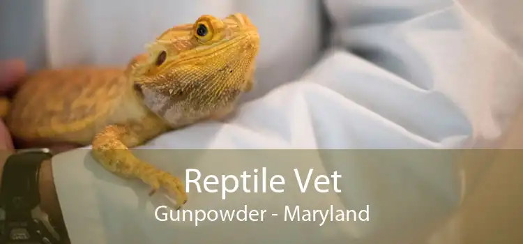 Reptile Vet Gunpowder - Maryland