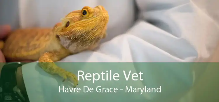 Reptile Vet Havre De Grace - Maryland