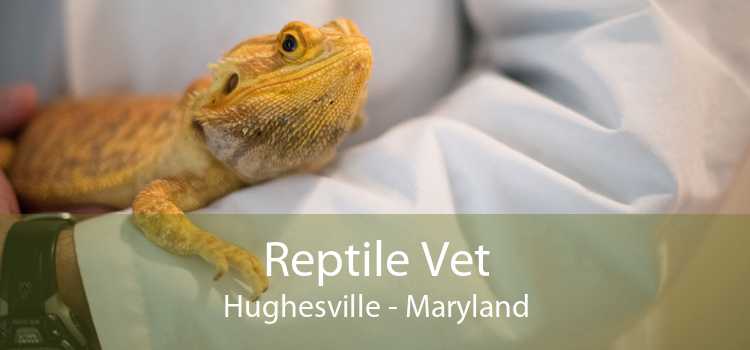 Reptile Vet Hughesville - Maryland