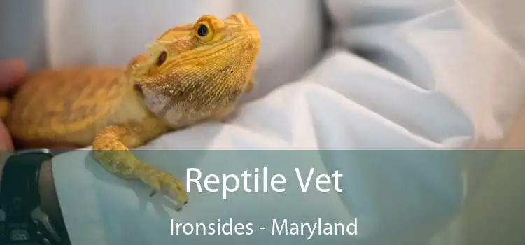 Reptile Vet Ironsides - Maryland