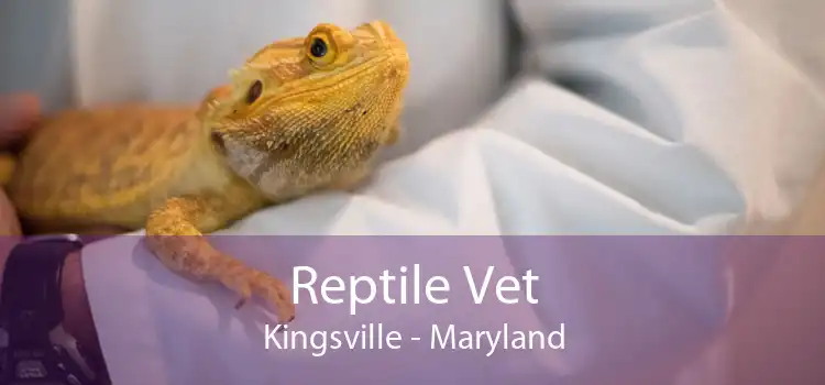 Reptile Vet Kingsville - Maryland